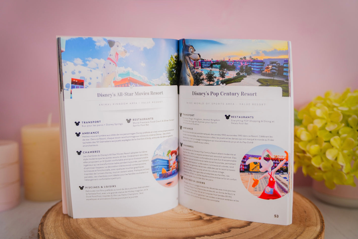 Guide de Voyage Walt Disney World