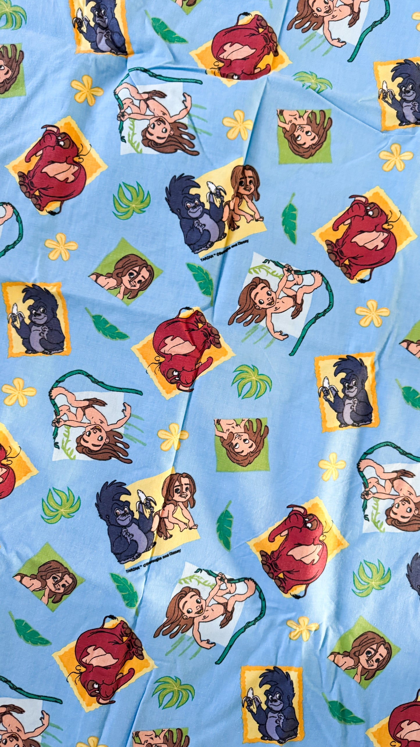 Précommande Banane Upcycling