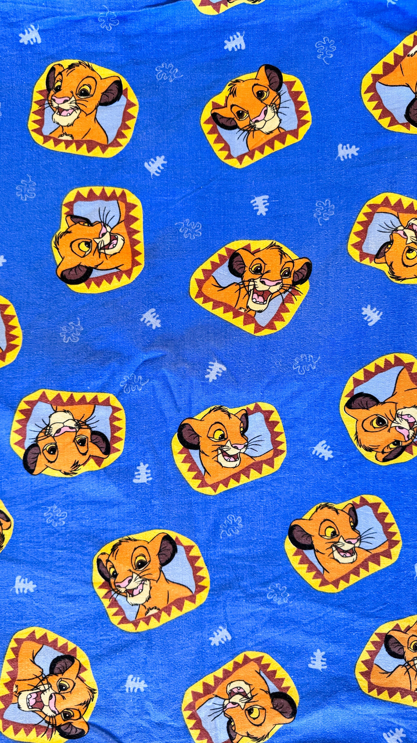 Précommande Banane Upcycling