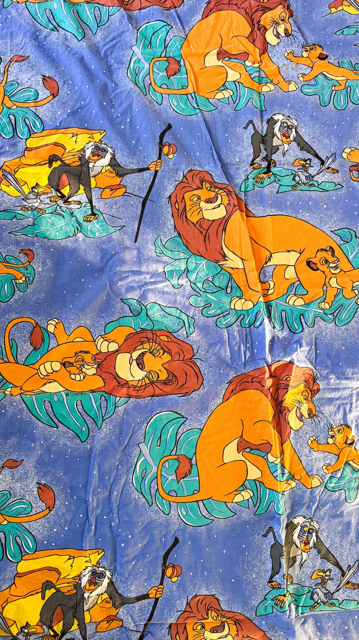 Précommande Banane Upcycling