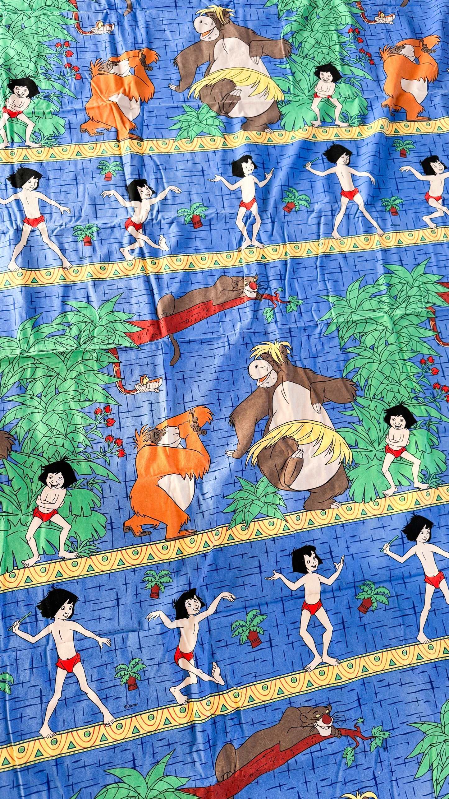 Précommande Banane Upcycling