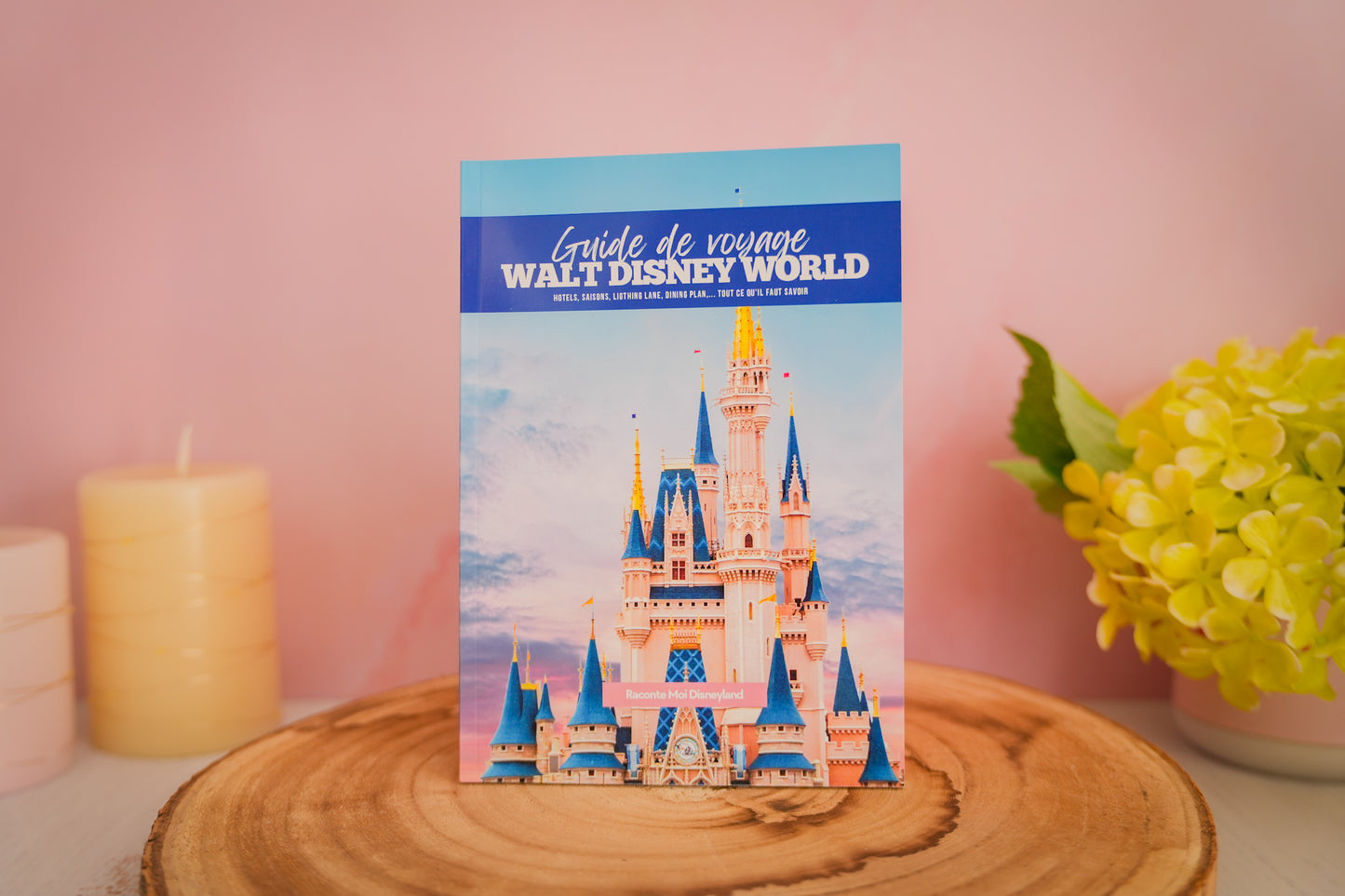 Guide de Voyage Walt Disney World