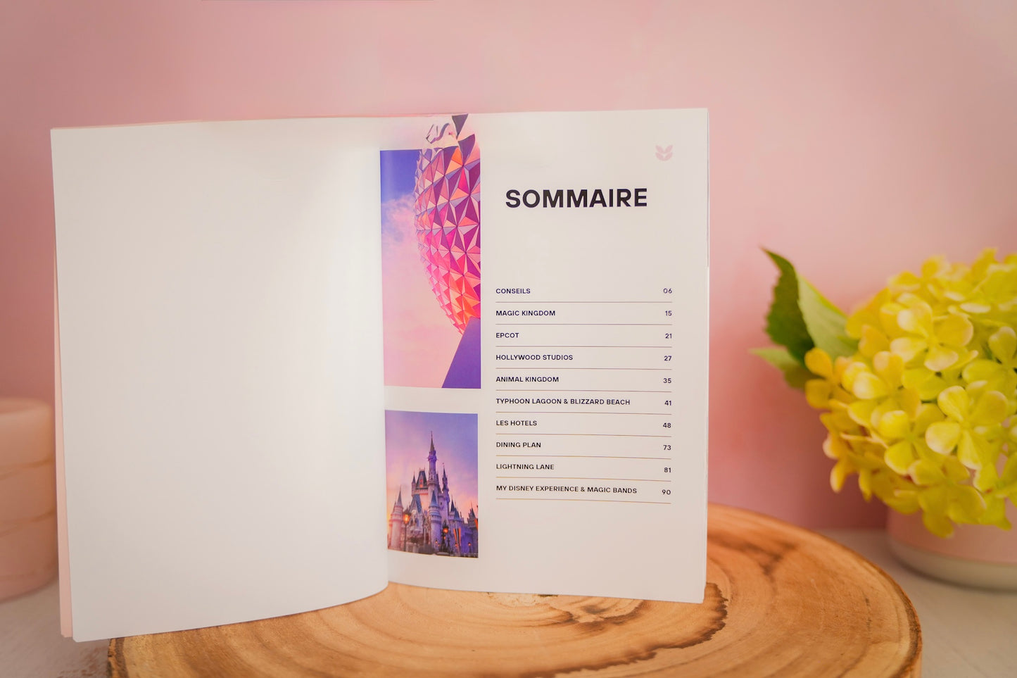Guide de Voyage Walt Disney World