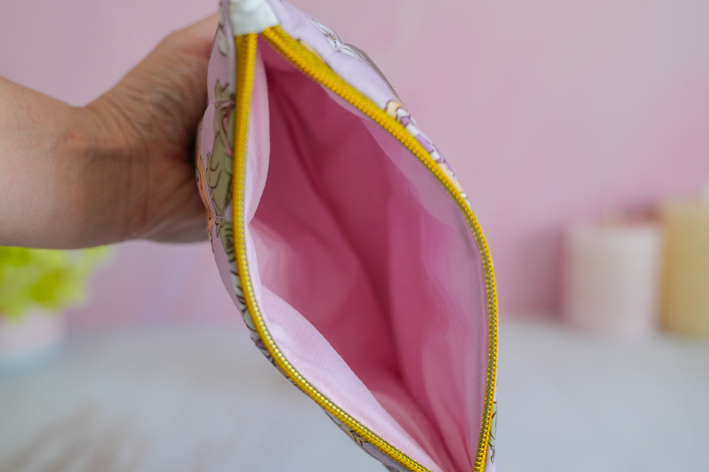 Pochette Plate -  Raiponce